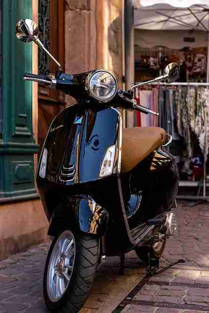 深夜热传:蘑菇视频直播突发掉线,播放量破千万