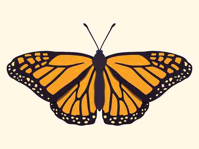 91网曝光匿名爆料背后博弈｜公关危机应对