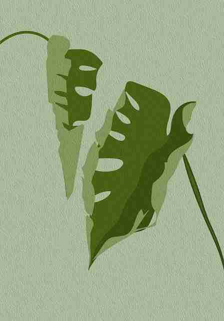 社群增长案例｜平台红利期？抖音成人版用户增长速览