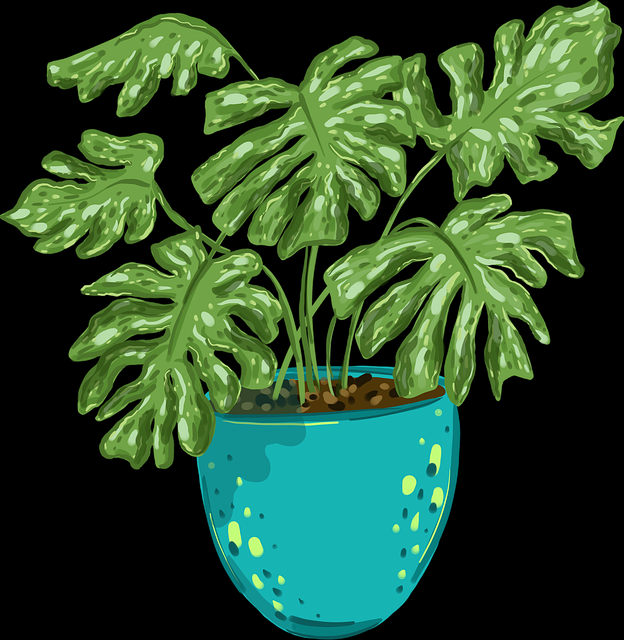 震撼首发：黑料网被曝操盘造谣，引发伦理争议