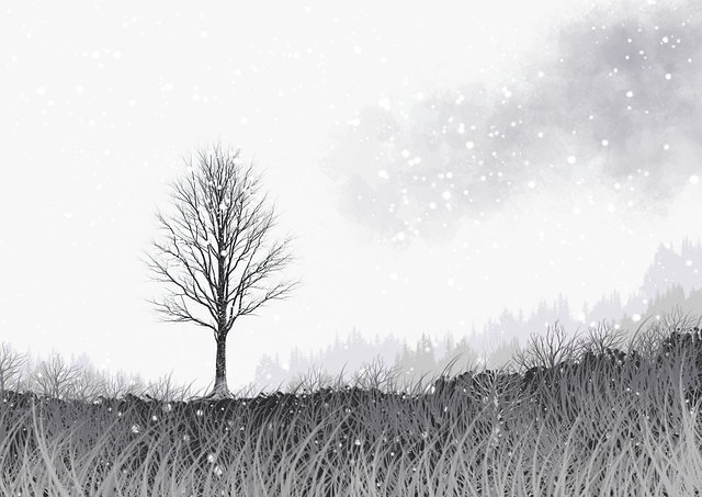 国产探花品牌合作模式全揭秘｜成长指南，全国探花视频在哪看