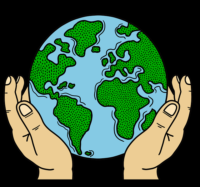 赛事解析｜每日大赛赞助商曝光及背后故事，每日观赛指南