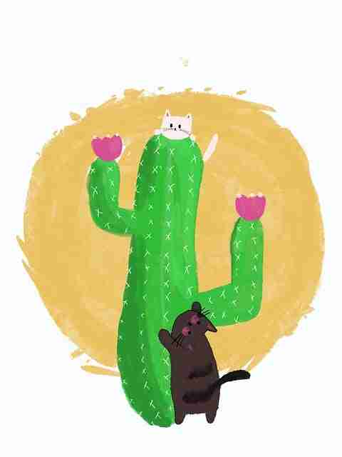 社群增长案例 - 抖音成人版直播打赏收益提升策略，成人打赏主播的钱会退吗